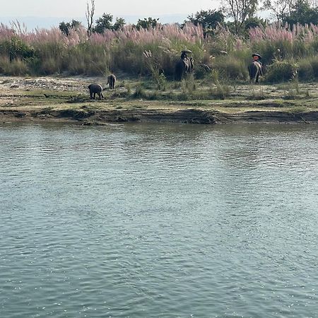 Chitwan Riverside Resort 사우라하 외부 사진