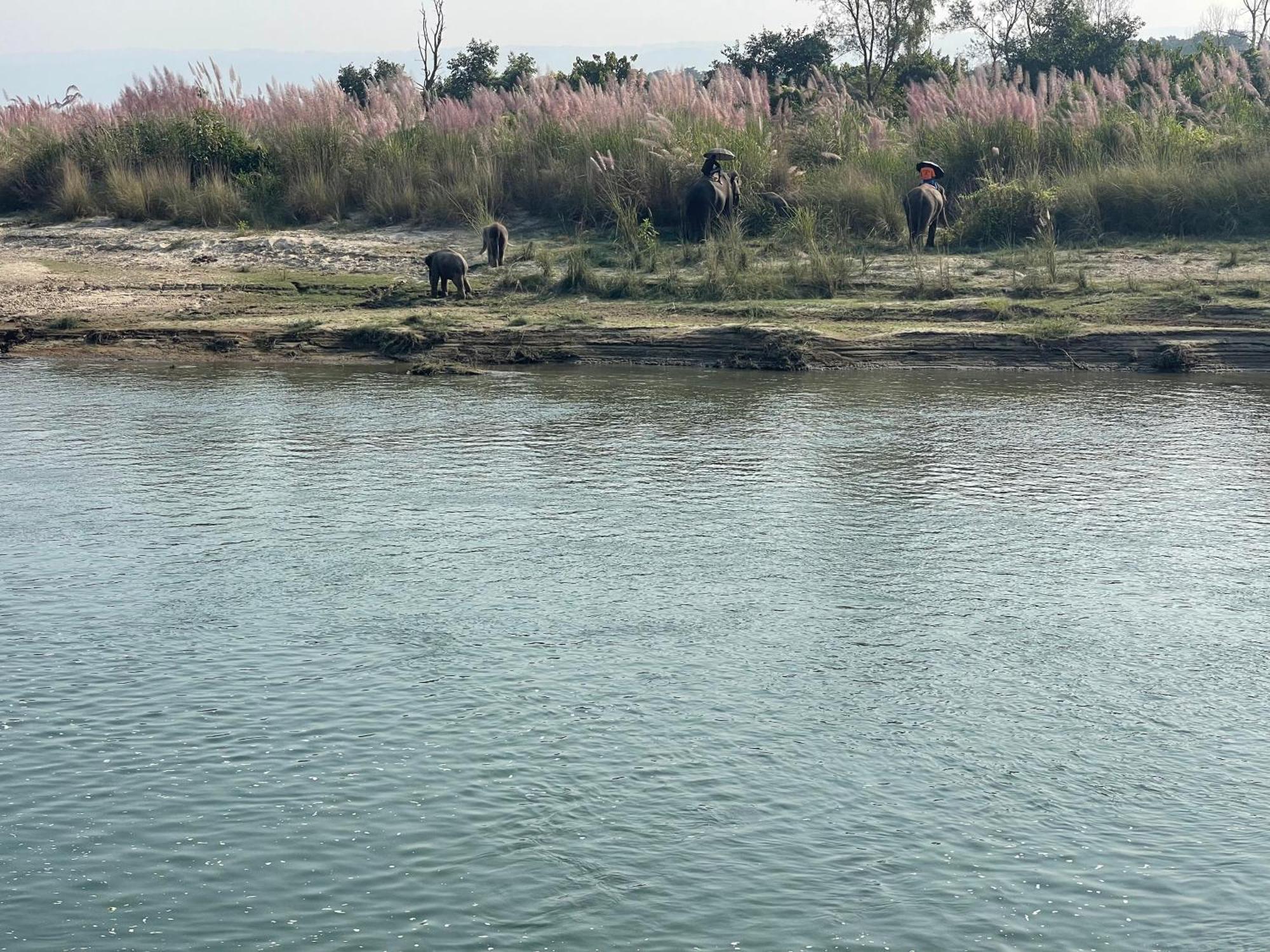 Chitwan Riverside Resort 사우라하 외부 사진