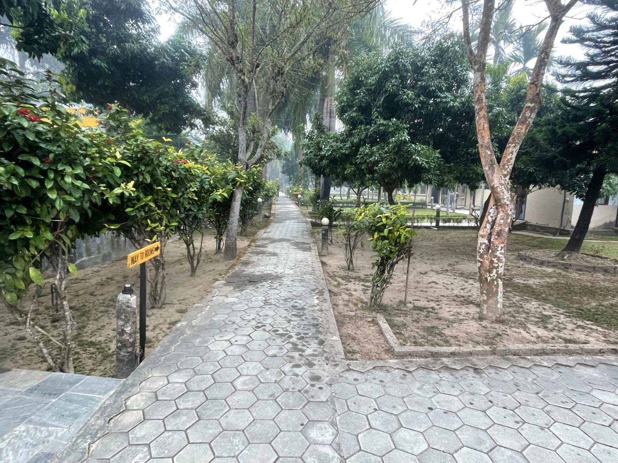 Chitwan Riverside Resort 사우라하 외부 사진
