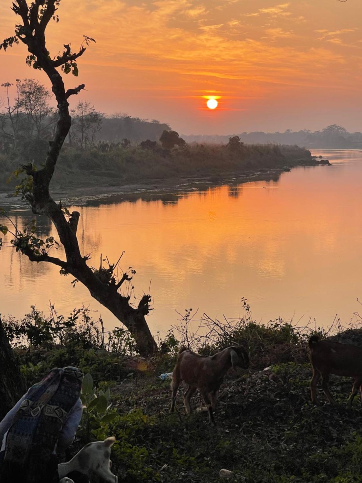 Chitwan Riverside Resort 사우라하 외부 사진